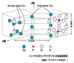 ハイドロキシアパタイト - オーラルペディア
