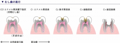 ㈱サンギ提供